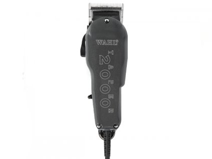 Wahl 2000