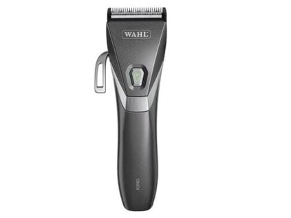 Wahl 1887 Kuno 1