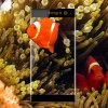 3D Tvrzené sklo na Sony Xperia XA2 černé nemo