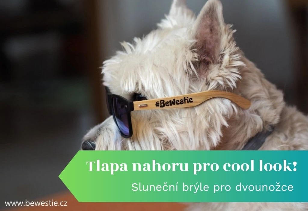 Brýle