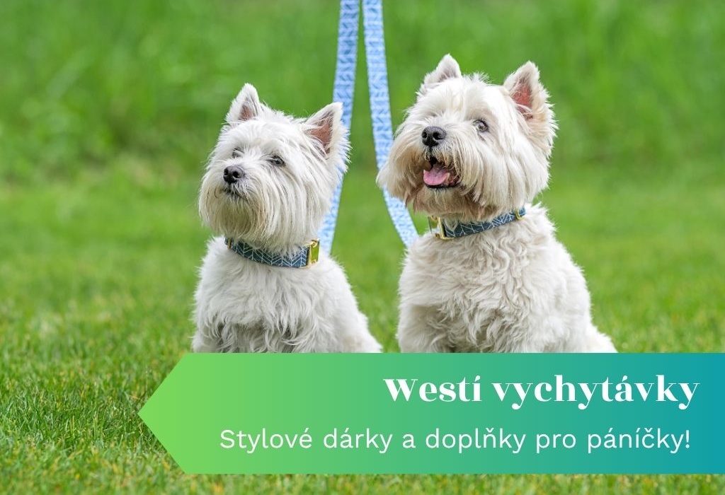 #BeWestie