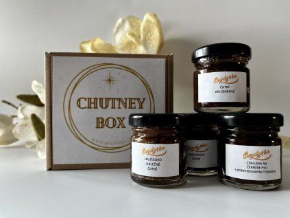 chutney/čatní box