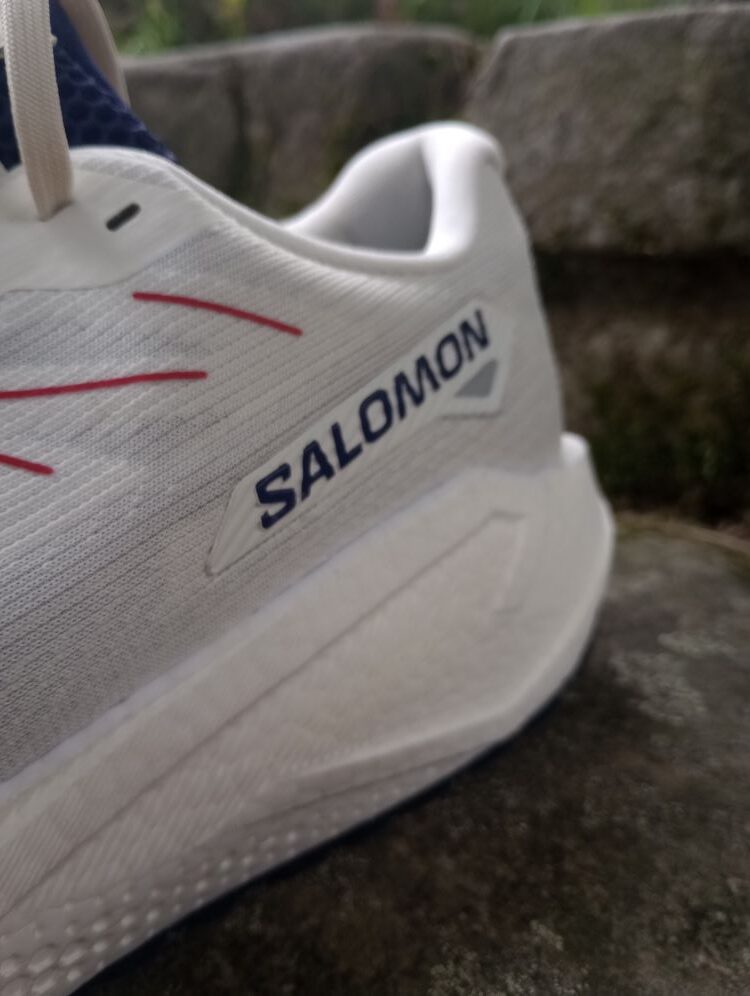 salomon3