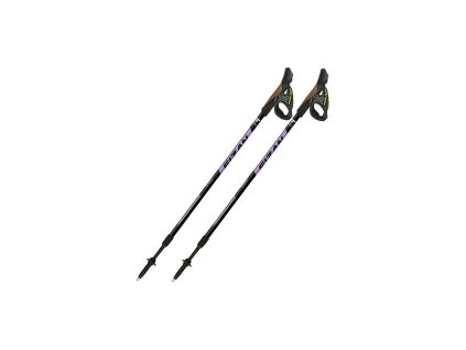 fizan nw speed dvoudilne nordic walking hole bez odpruzeni