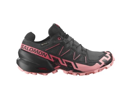 L47880400 0 GHO SPEEDCROSS 6 GTX W Ni.png.cq5dam.web.1200.1200