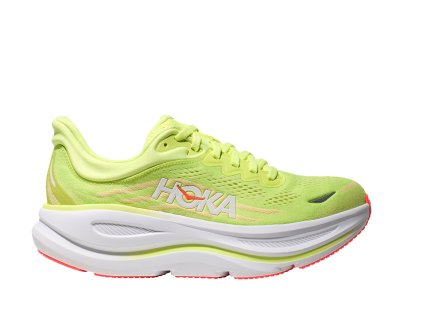 1162012 NYZS 1 Photoroom