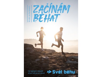 ebook zacinam behat