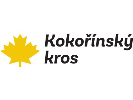 KT Kokorin logo
