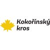 KT Kokorin logo