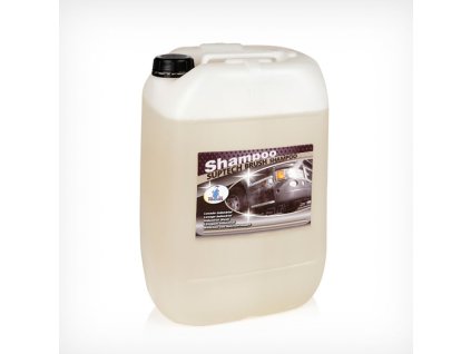 TRUCK BRUSH SHAMPOO