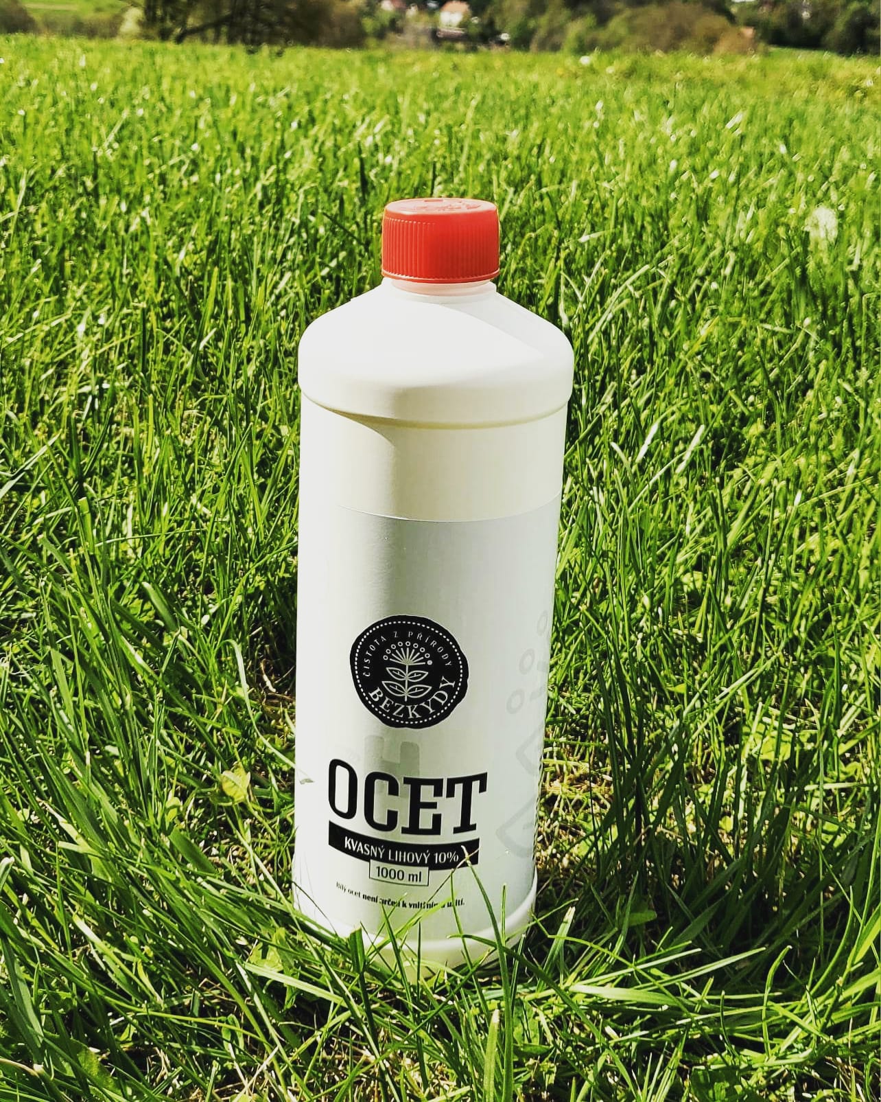 To mám opravdu uklízet s octem???