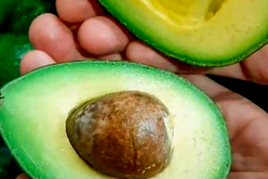 Guacamole: jednoduchý domácí recept z avokáda