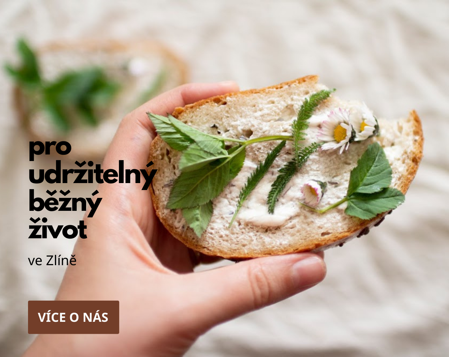 Pro udržitelný běžný život