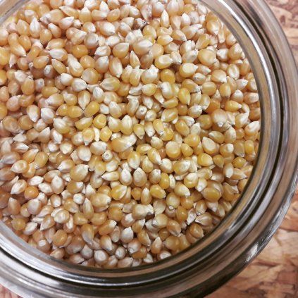 Kukuřice na popcorn BIO