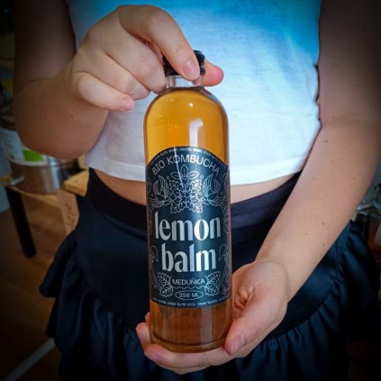 Kombucha - GINGER LIME BIO