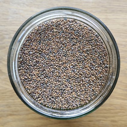 Rukola BIO