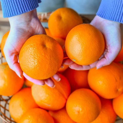 Kreta bezobalac pomeranče