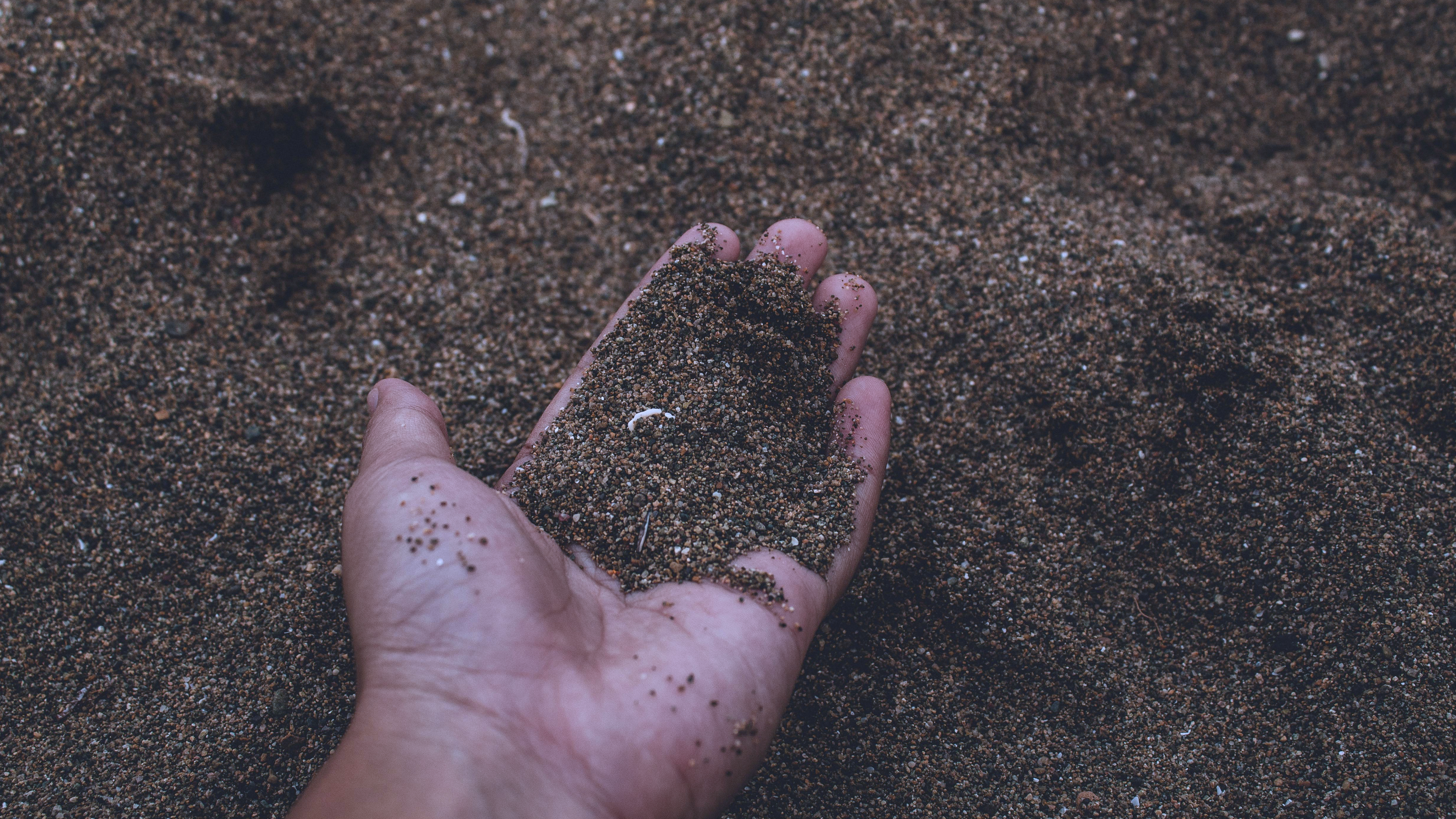 Myrkl obsahuje Bacillus subtilis a Bacillus coagulans: poznáš účinky týchto “darov pôdy?”