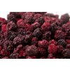 freeze dried blackberries3 scaled