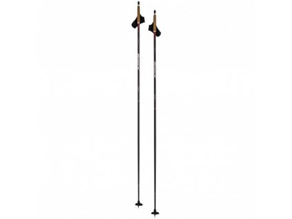 Swix Dynamic D1 RCD10