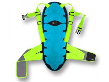 chranic patere hatchey jeremy ii