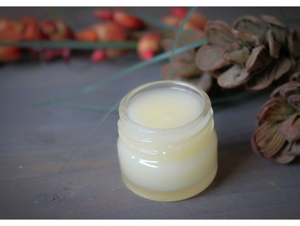 Kaštanová mast 25 ml ve skle