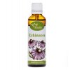 echinacea TB