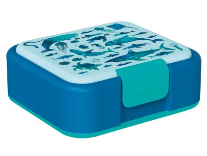 40254QO uncompressed