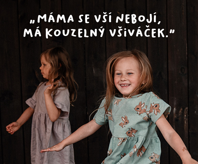 Na vši stačí správný všiváček