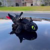 toothless car plush how to tr 1703850250 6843358c progressive