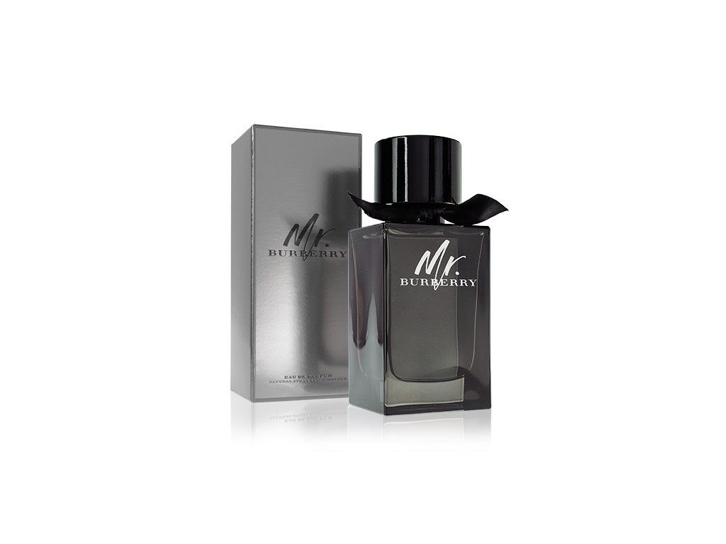 burberry mr burberry