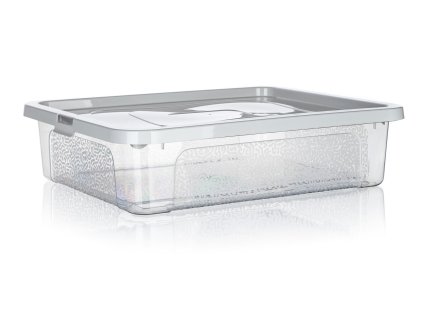 box úložný MULTIBOX 10l, 40x33x10cm, víko, klip, PH