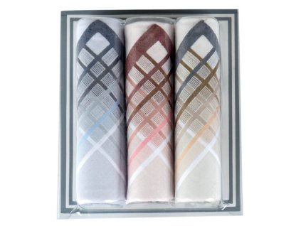 Pánské kapesníky mix (Velikost VASS)