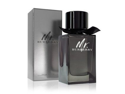 burberry mr burberry