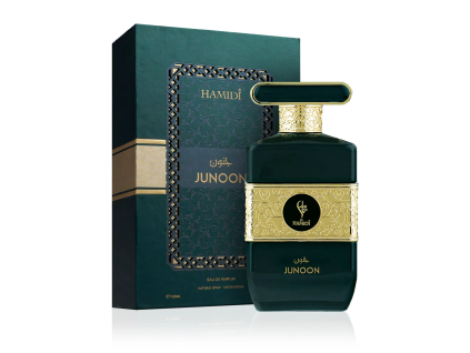 hamidi junoon