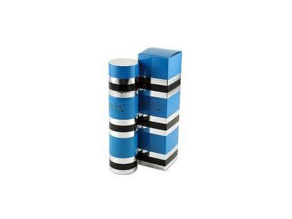 yves saint laurent rive gauche