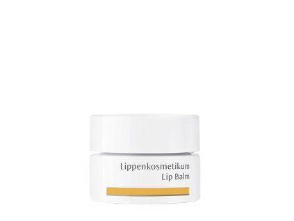 dr hauschka lip balm