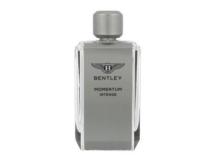bentley momentum intense
