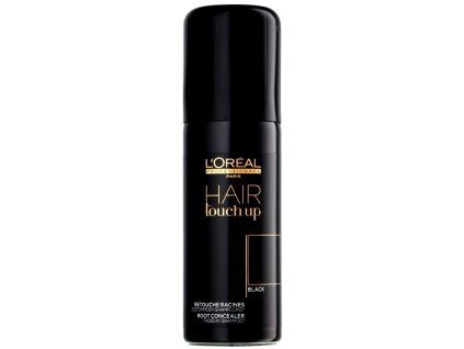 l oreal professionnel hair touch up