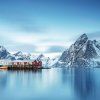 pictureprovider.aspx?z=900&path=57010%2F4.Arctic