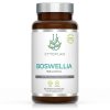cytoplan boswellia klbova vyziva 400mg 60 vegan kapsul 1