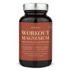 Workout Magnesium 90 kapslí (Varianta Workout Magnesium 90 kapslí)