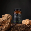 reishi extract 2 kiki health