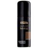 l oreal professionnel hair touch up