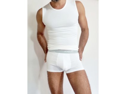 Boxerky funkčné pánske TERMOintima s bavlnou