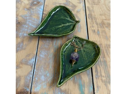 Zelené Fazolové Listy