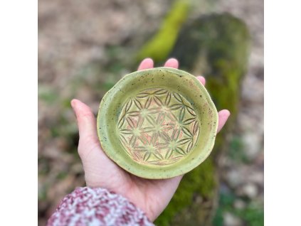 Malá Miska Květ Života