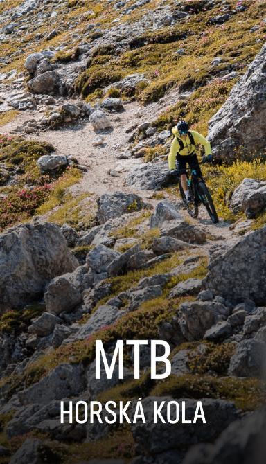 MTB