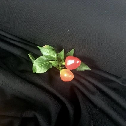 úplet jednolíc bambusový úplet, černý