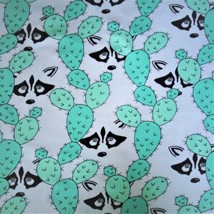 bio úplet Peekaboo Raccoon od MiaMea